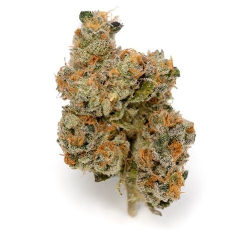 Mid Shelf - Dosidos