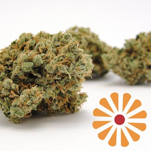 Red Beard - Durban Poison