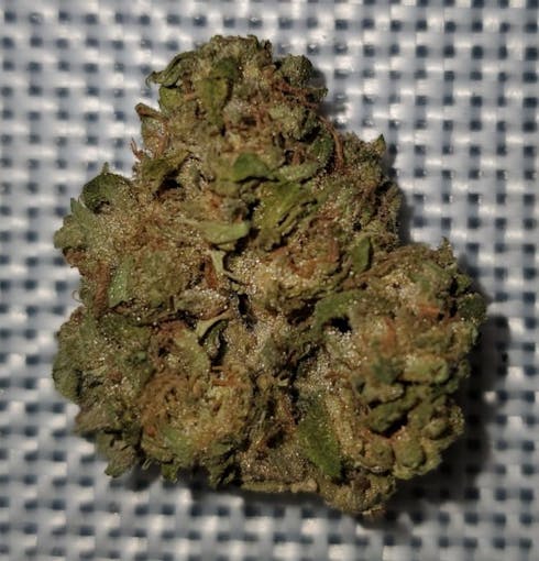 Cream Cheese