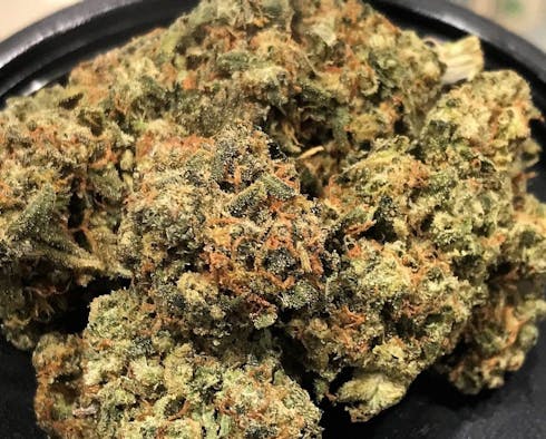 BIO DIESEL