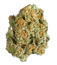 Hash Plant