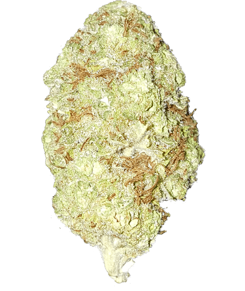 Sour Diesel