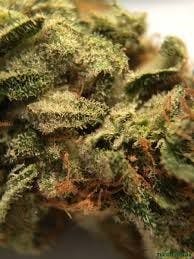 Strawberry Cookie Kush
