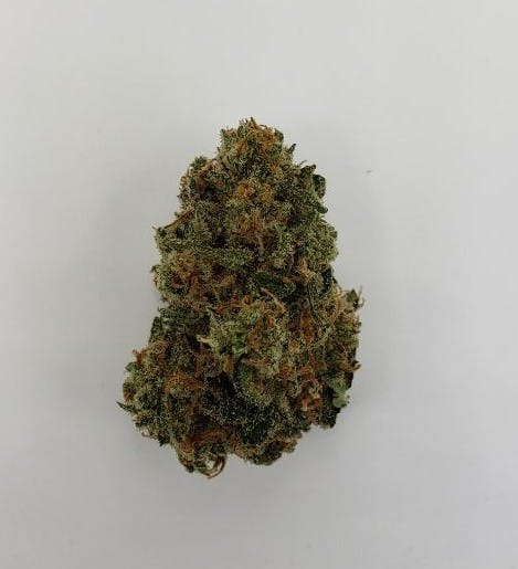 J1