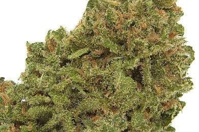 OG Kush