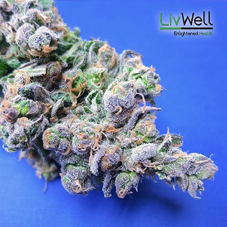 Blue Dream #1