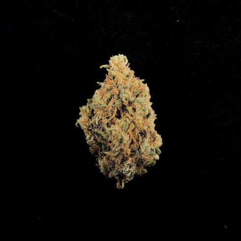 Green Love Potion #10 (Sale)