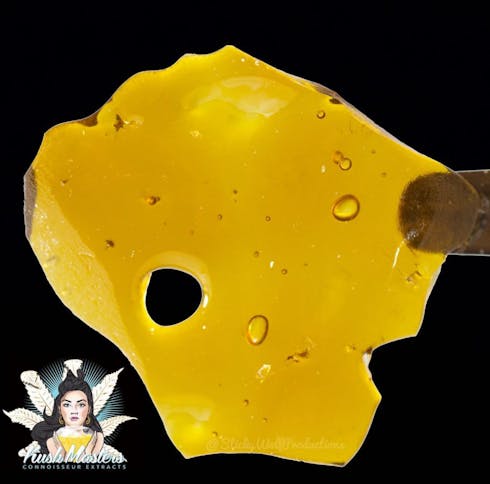 Kush Masters Shatter