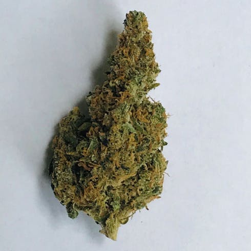 Durban Poison