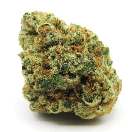 Utopia - Golden Lemons