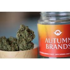 AUTUMN BRANDS - SFV OG