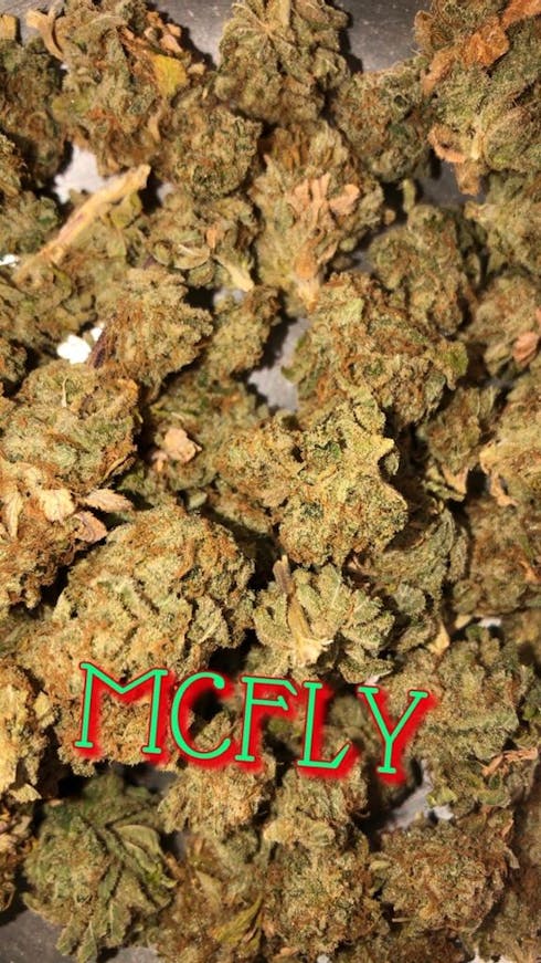 McFly