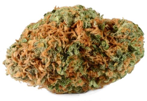 Orange Juice Kush