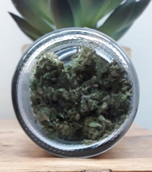 Jack Frost CBG