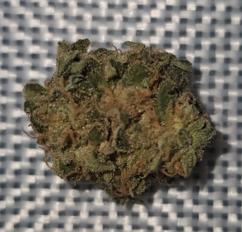 Purple Kush