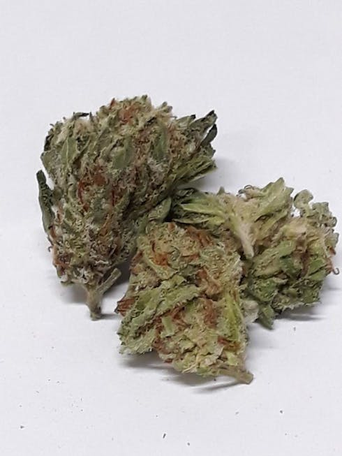 Huckleberry (21.06%THC) Dime Bag