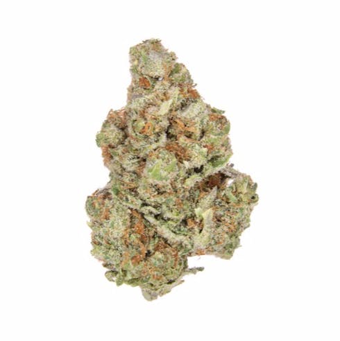 30% OFF | Primo Verde
