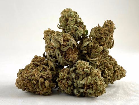 Blueberry Cookies