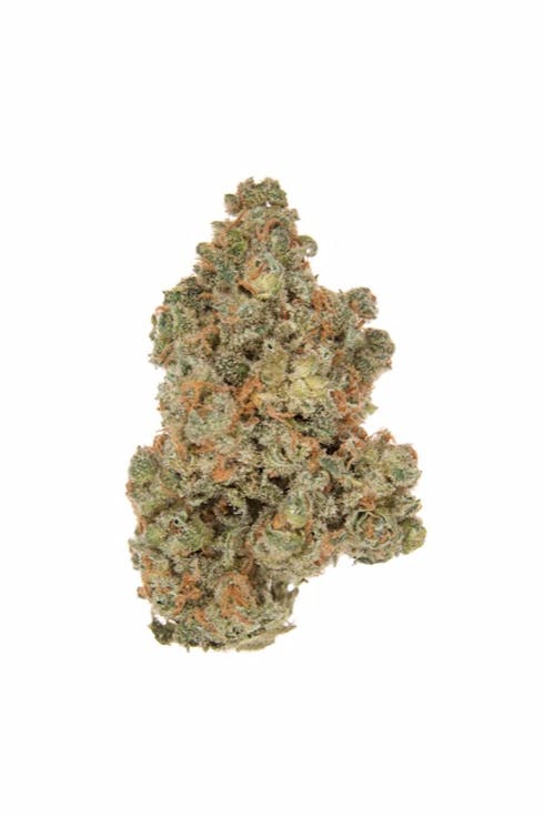 Jack Herer (30% OFF)