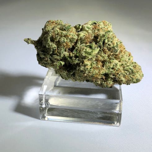 Sour Band