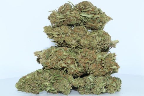 Knight Rider 20.4% CBD