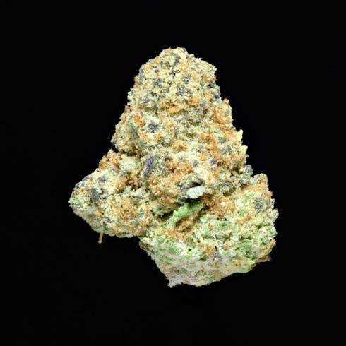 Stomper
