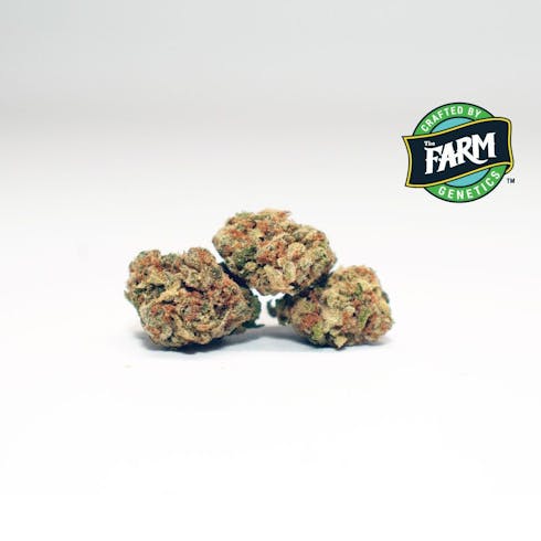 Battle Star (Indica)