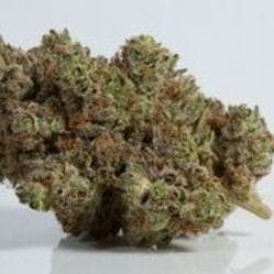 MED - Bubba Fett
