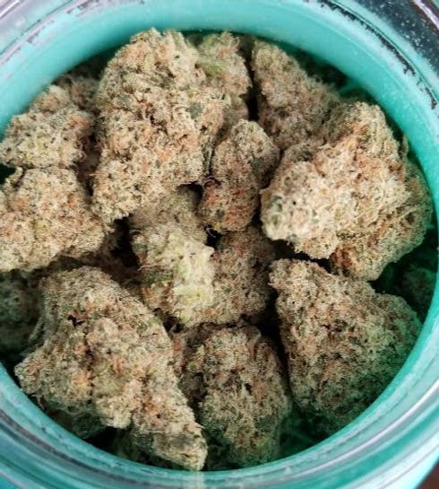Lemon Skunk