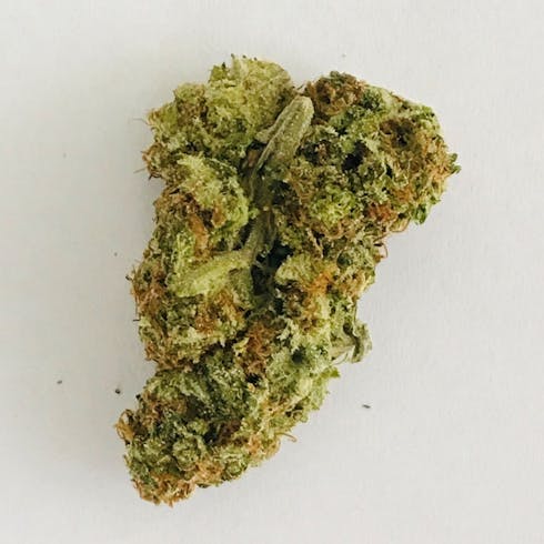 Bubblegum