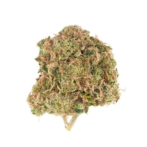 Sojay Haze