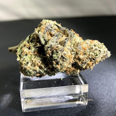 Grape Soda