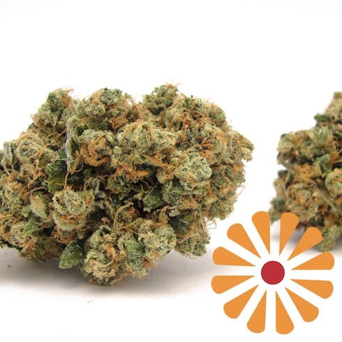 Red Beard - Sour Diesel