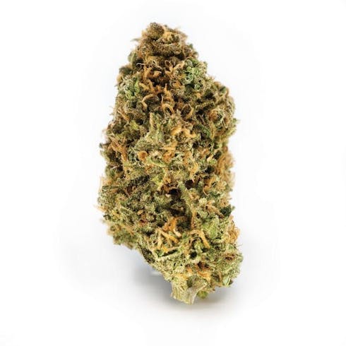 Mid Shelf - Grape Durbz