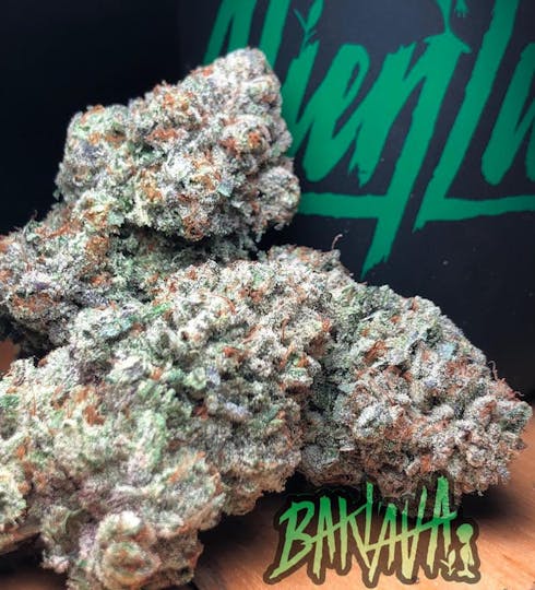 Alien Labs - Baklava - Smalls