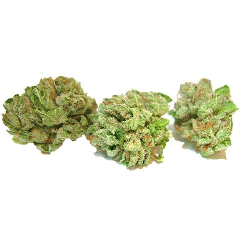 *Grapefruit B Buds Ounce & Half Ounce Special*