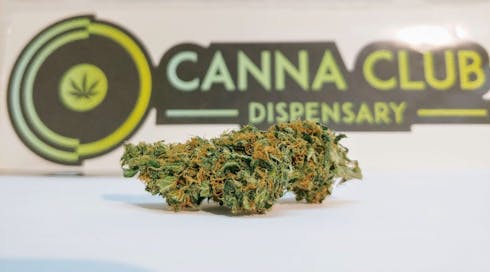 Northern Lights