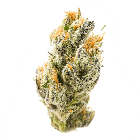 Sunset Sherbert