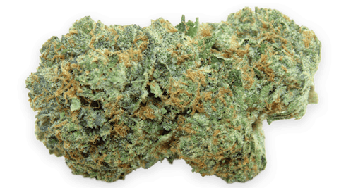 KING'S GARDEN: ANIMAL COOKIES 3.5G