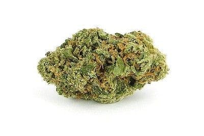 Lemon Sour Diesel - Western Oregon Botannicals