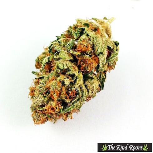Bruce Banner