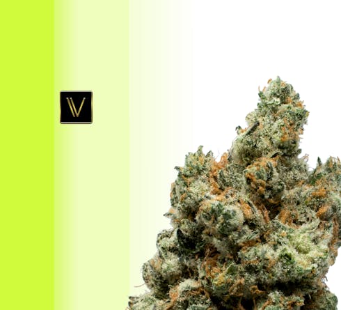Diamond Dust (Virtue)
