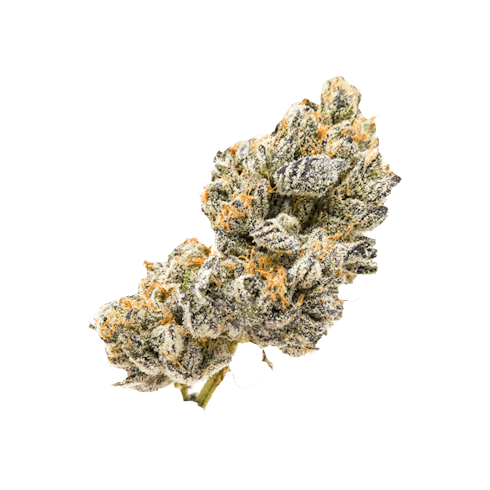 Gelato 33