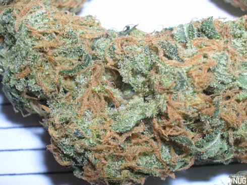 Black Jack