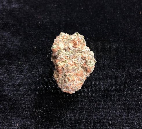 Northern Lights