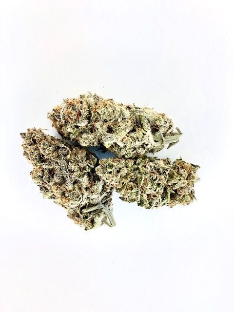 Blue Cookies