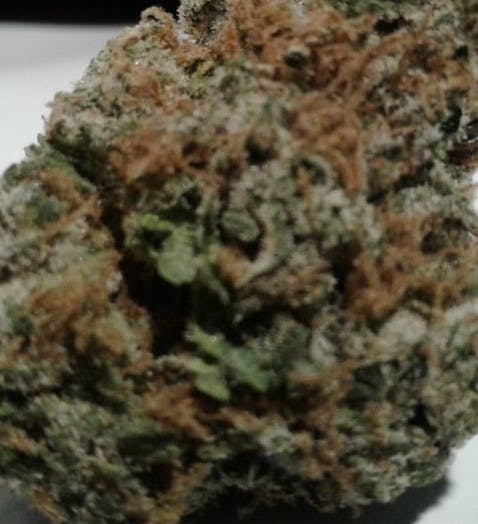 Larry OG