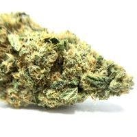 Lemon Sour Diesel