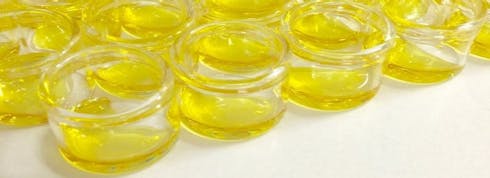 Evolutionz Clear Cartridge 500mg