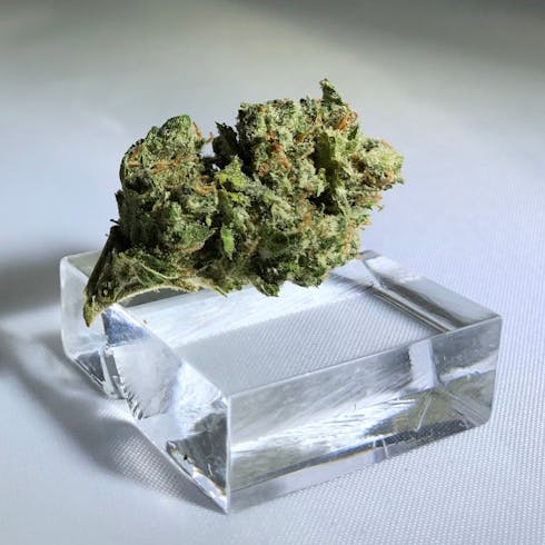 Lilac Diesel